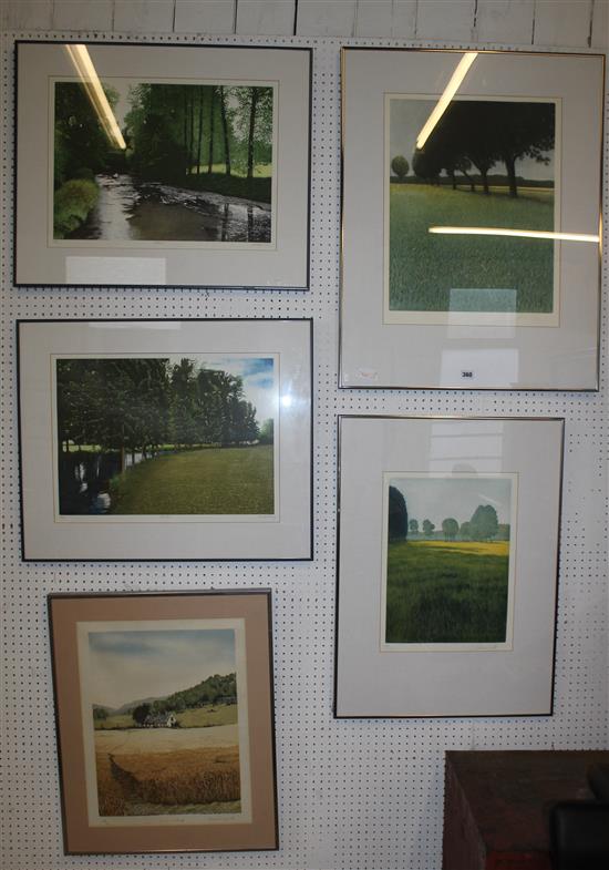 5 assorted landscape prints